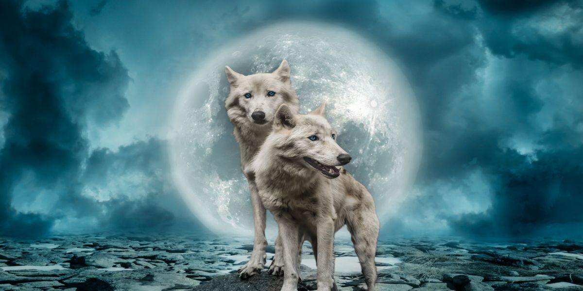Luna llena en Escorpio